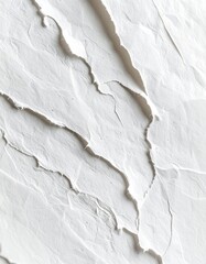 Close-up of textured white paper, torn edges, wrinkled surface, high contrast