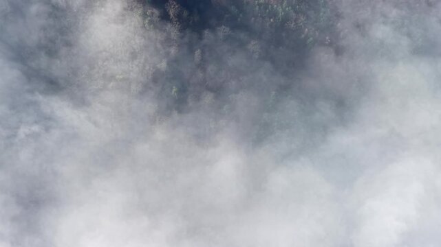Aerial view of a forest disappearing into the clouds, with trees barely visible through the mist, creating a sense of mystery, Orschwiller, Grand Est, France.