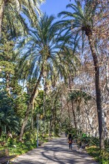 malaga, spanien - idyllischer spaziergang im botaniscen garten