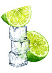 Fresh citrus Lime and Ice cubes. Hand painted watercolor illustration isolated on white background