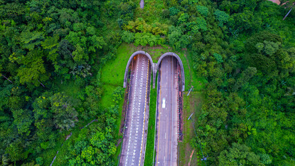 The tunnel for vehicles through the forest was built to connect the forest areas, allowing wildlife to cross back and forth.
