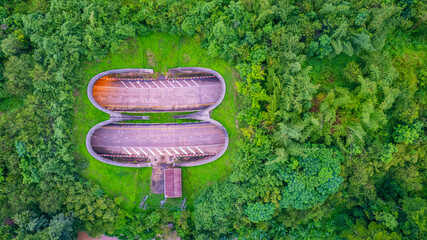 The tunnel for vehicles through the forest was built to connect the forest areas, allowing wildlife to cross back and forth.