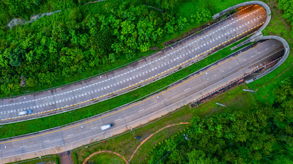 The tunnel for vehicles through the forest was built to connect the forest areas, allowing wildlife to cross back and forth.