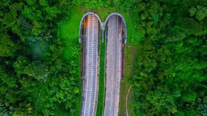 The tunnel for vehicles through the forest was built to connect the forest areas, allowing wildlife to cross back and forth.