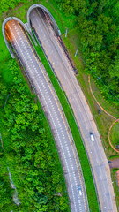 The tunnel for vehicles through the forest was built to connect the forest areas, allowing wildlife to cross back and forth.