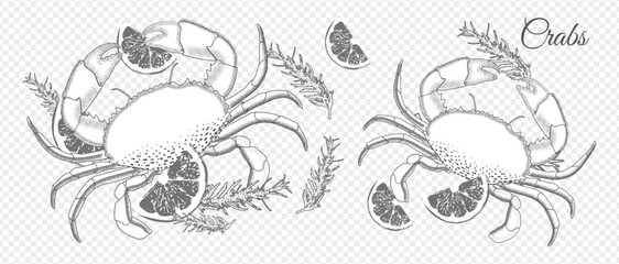 Two stylized crabs with citrus slices and rosemary sprigs. On a transparent background. Perfect for menus, seafood labels, and packaging.  © Uliya