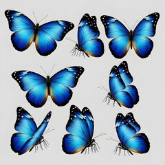 Set of Vibrant Blue Butterfly Vector Illustrations Isolated on White Background