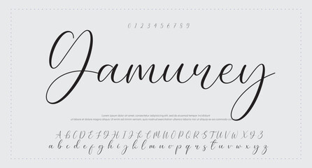 signature Font Calligraphy Logotype Script Brush Font Type Font lettering handwritten 