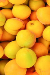Ripe juicy orange apricots fruit background.