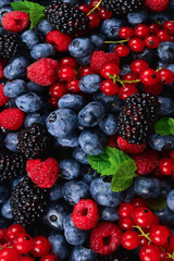 Blackberry, raspberry, blueberry,  red currant and mint background.
