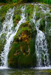 Beautiful waterfalls stream with fresh water in motion  in green nature, fresh, clean water background