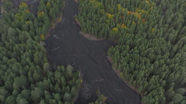 Aerial view of a stark, dark lava flow cutting through a vibrant green forest with autumn colors, creating a strong contrast, Etna Nord, Sicilia, Italy.