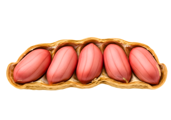 Freshly opened peanut shell revealing four raw, plump peanuts on a stark black background