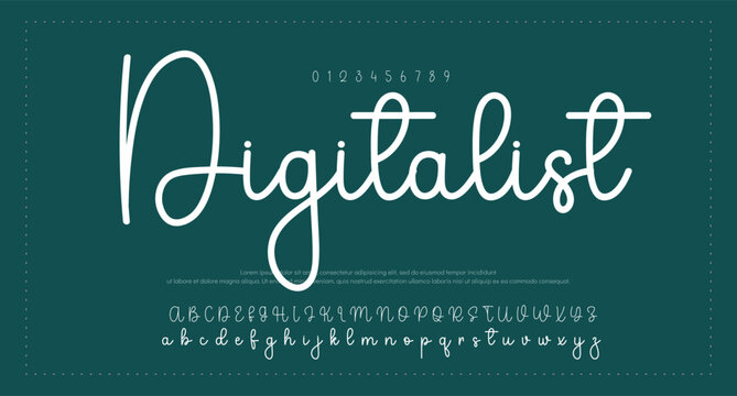 signature Font Calligraphy Logotype Script Brush Font Type Font lettering handwritten 