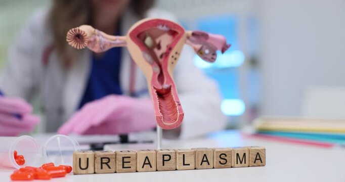Wooden blocks spell word Ureaplasma at uterus model on stand. Woman doctor reads form while carefully checking infection risk for patient in hospital