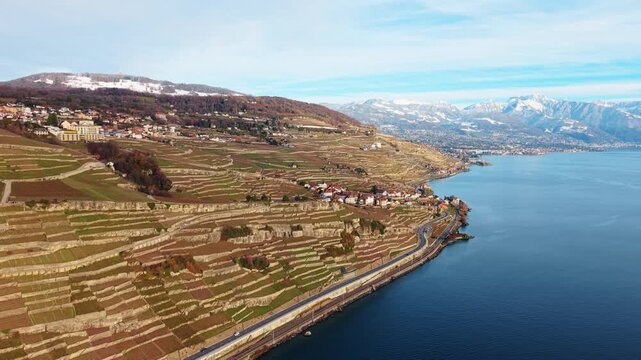 Aerial view of the terraced vineyards cascading towards the serene lake, contrasting with the snow-capped mountains in the distance, Bourg-en-Lavaux, Vaud, Switzerland.