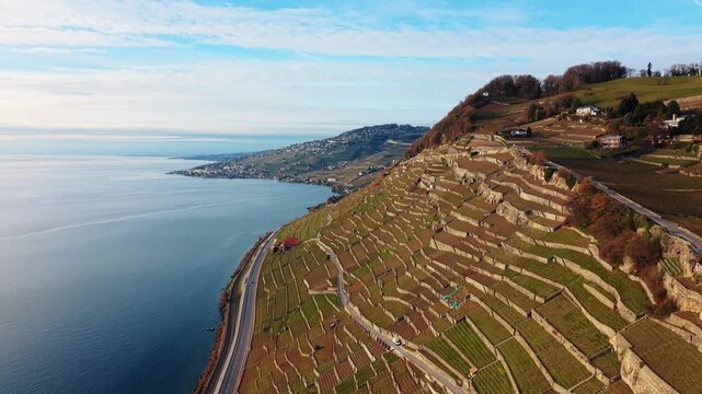 Aerial view of Lavaux Vineyard Terraces cascading towards the serene lake, showcasing the rich agricultural heritage, Bourg-en-Lavaux, Vaud, Switzerland.