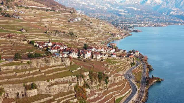 Aerial view of the terraced vineyards cascading towards the serene blue waters of Lake Geneva, a picturesque scene, Bourg-en-Lavaux, Vaud, Switzerland.