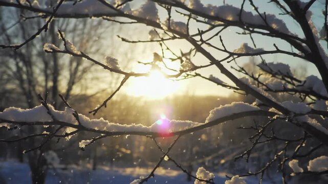 Landscape with the sun rising above the horizon on the shortest day of the year, the winter solstice