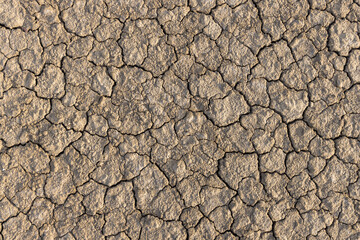 Cracked and dry soil,Close up shot of drought, dried soil photographed from top view.