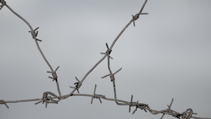 barbed wire close-up against a gray sky