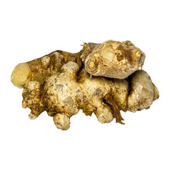 Natural Ginger Piece Presented &ndash; Clean Isolated Background