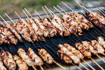 Grilled meat skewers on outdoor barbecue grill for a flavorful family barbecue event and feast