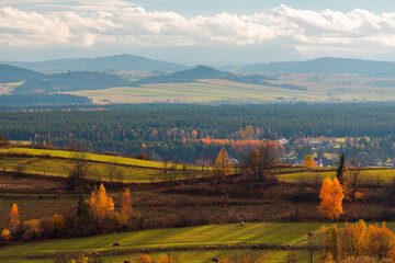 Sunny Golden Polish Autumn in Gorce hillside landscape with rolling valley, colourful forests, and bright sky under clear daylight