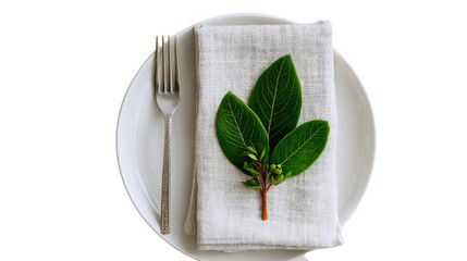 Minimal Table Setting with White Plate, Linen Napkin and Green Leaf