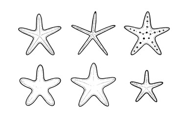 Collection of six hand-drawn starfish illustrations in black and white outline