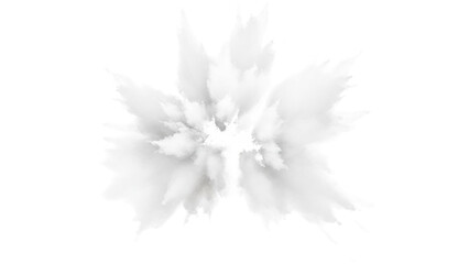White Explosion Splash isolated on a transparent background