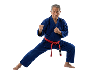 Senior martial arts master in fighting stance on white background