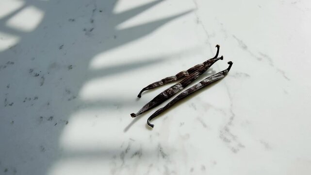 Vanilla Pods on Marble Shadow