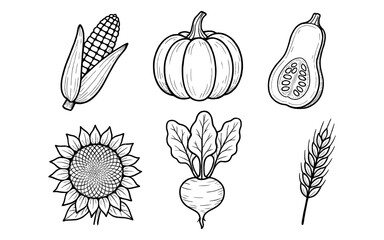 Collection of hand-drawn autumn harvest vegetables and grains in a simple line art style