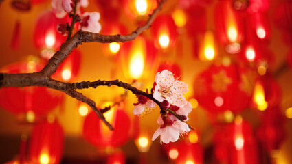 Cherry blossom branch in full bloom against glowing red lanterns, symbolizing renewal, luck and prosperity during Chinese New Year celebrations in warm festive light