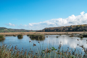 The scenic views of Sarıkum National Park, situated in a combination of sea, sand, lake and forest with species of water birds and birds of prey, and roe deer, lynx, bustard and swan in Sinop, Turkey.