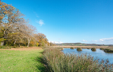 The scenic views of Sarıkum National Park, situated in a combination of sea, sand, lake and forest with species of water birds and birds of prey, and roe deer, lynx, bustard and swan in Sinop, Turkey.