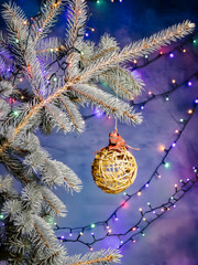 Frosted Pine Branch With Gold Woven Ornament And Colorful Christmas Lights