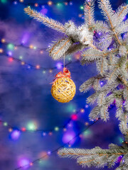 Frosted Pine Branch With Gold Woven Ornament And Colorful Christmas Lights