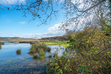 Fototapeta premium The scenic views of Sarıkum National Park, situated in a combination of sea, sand, lake and forest with species of water birds and birds of prey, and roe deer, lynx, bustard and swan in Sinop, Turkey.