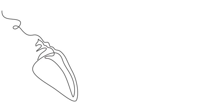 Continuous Line Animation of a Snail | One Line Drawing Minimal Motion, Self animated continuous single-line drawing of a conch snail shell. One line art conch snail shell icon. Full length one line