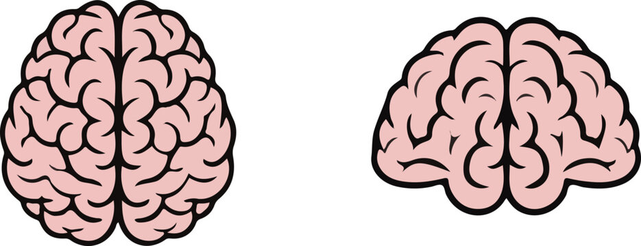 Two stylized brains, one top view and one side view, on white background
