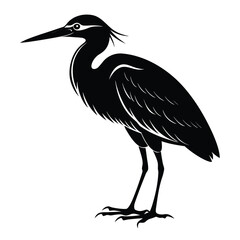 A stately dark heron standing with profound grace reflecting nature s quiet beauty minimalist vector