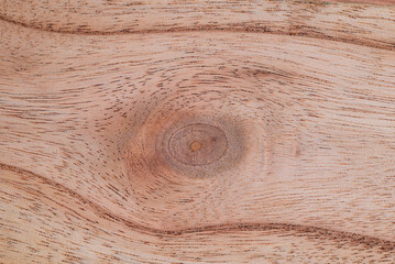 Natural background. Wood plank texture