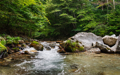 Fototapeta premium Clear Mountain Stream Flowing over Mossy Boulders in Kinomata River, Tochigi, Japan