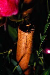 Deko Blumen Holzstab