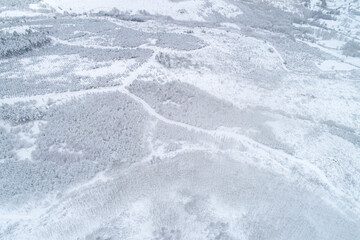 Aerial View of Snow Covered Forest and Undulating Hills The Concept of Vastness