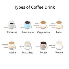 Types of Coffee Drinks and Their Ingredients Infographic