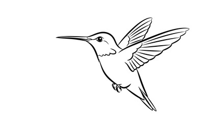 Fototapeta premium Hummingbird in flight illustration against white background for design