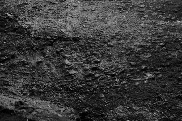 Obraz premium Black and White Rock Texture Background with Natural Stone Surface